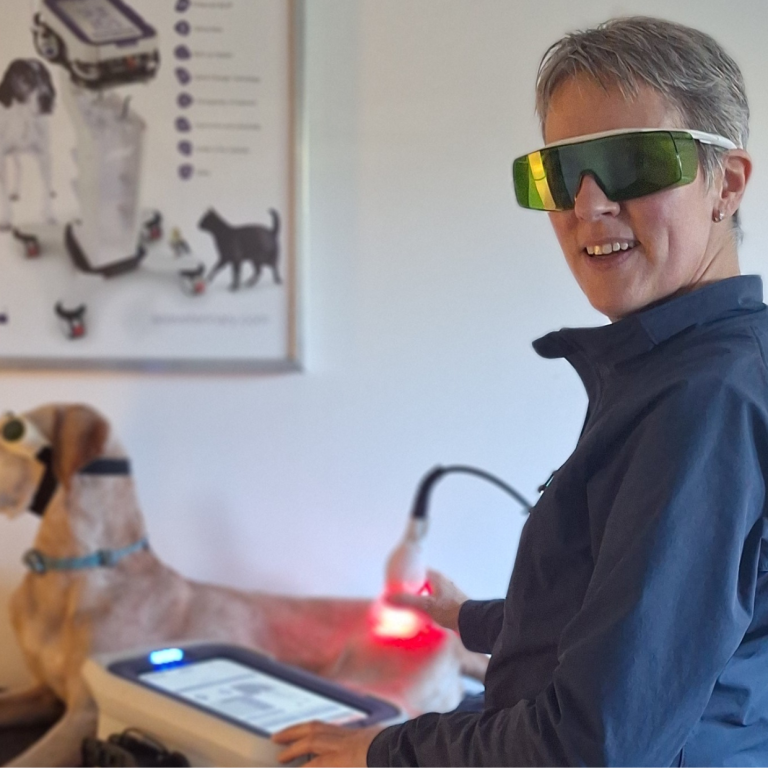 Dierenarts in Beweging (1)